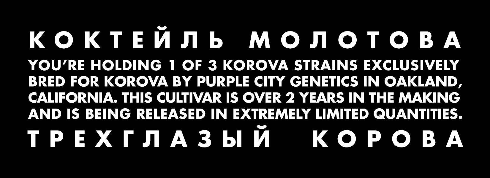 BACK STICKER - MOLOTOV - W5.5 X H2.jpg