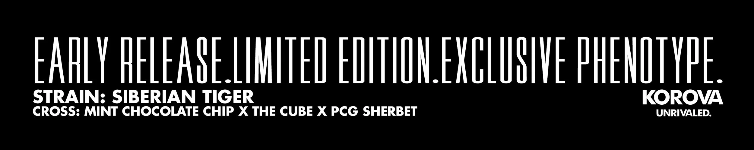 LEFT SIDE STICKER - SIBERIAN - W10 X H2.jpg
