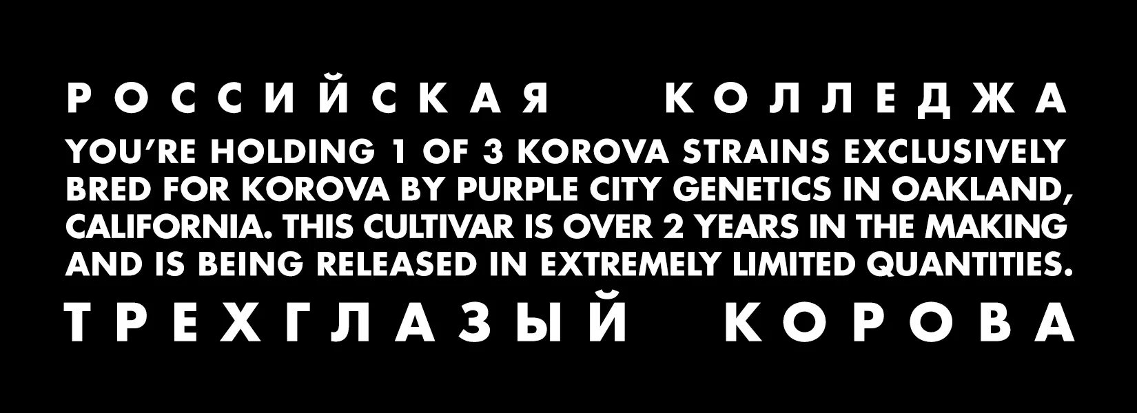 BACK STICKER - RUSSIAN - W5.5 X H2.jpg