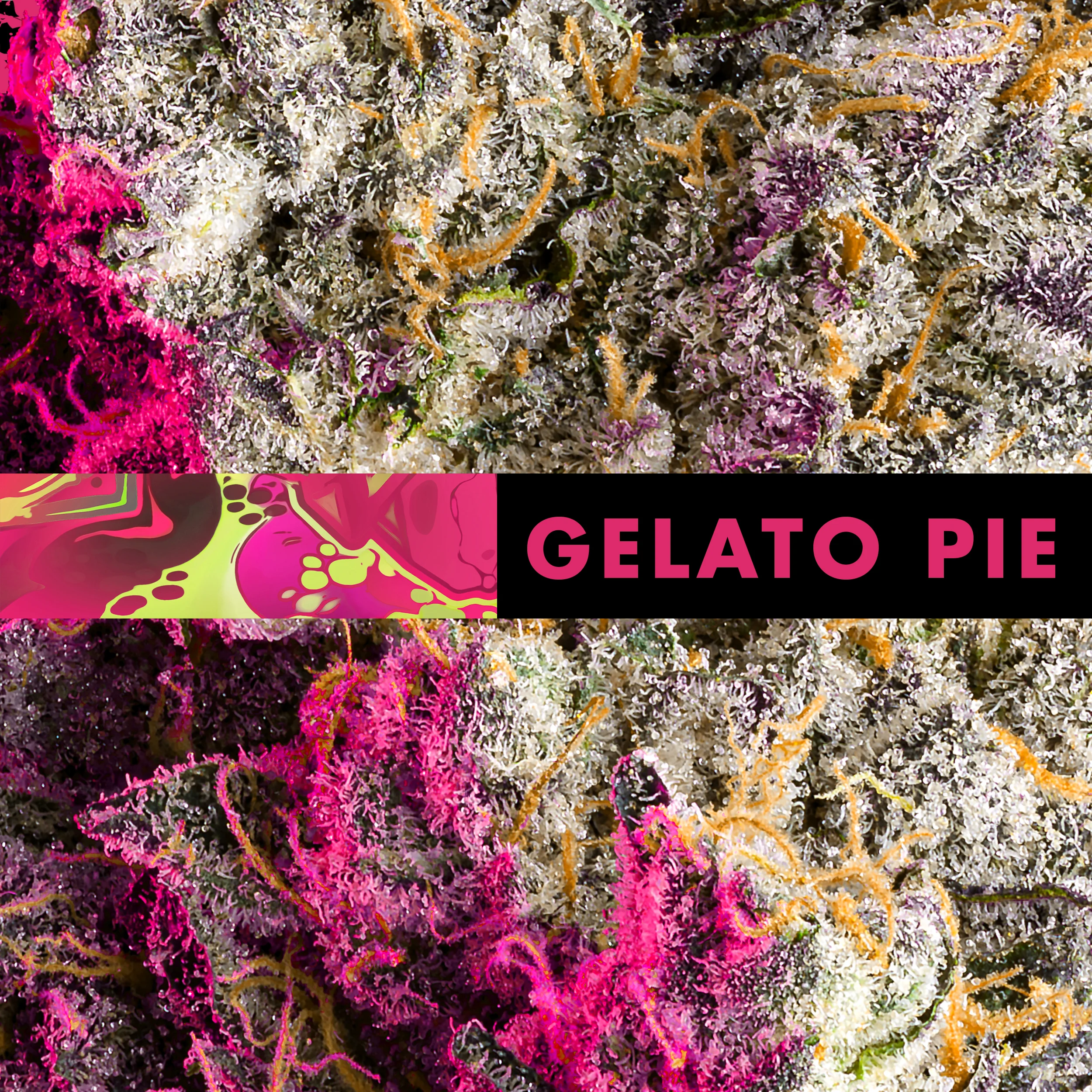 GELATO PIE WEBSITE MACRO.jpg