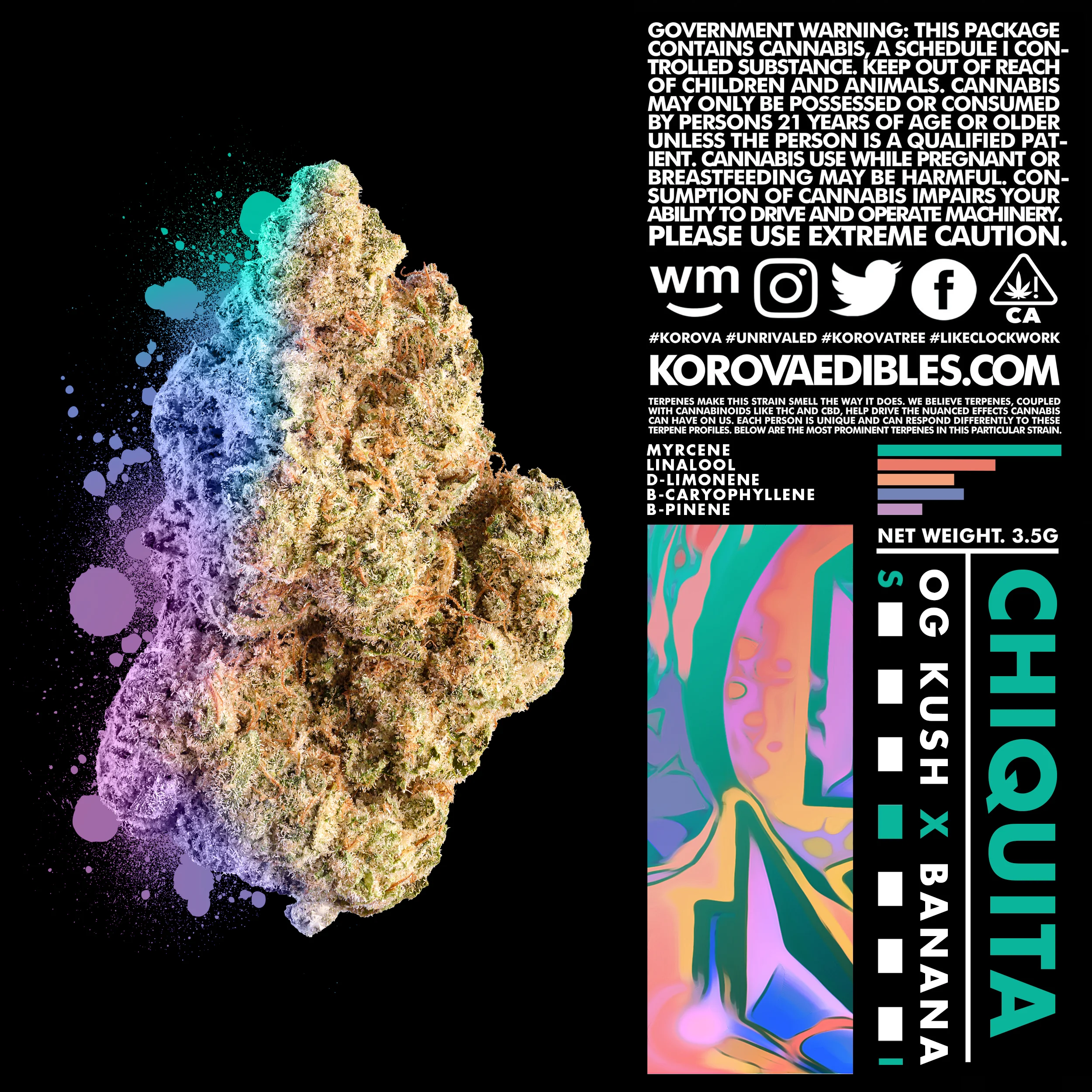 CHIQUITA FOR WEBSITE.jpg
