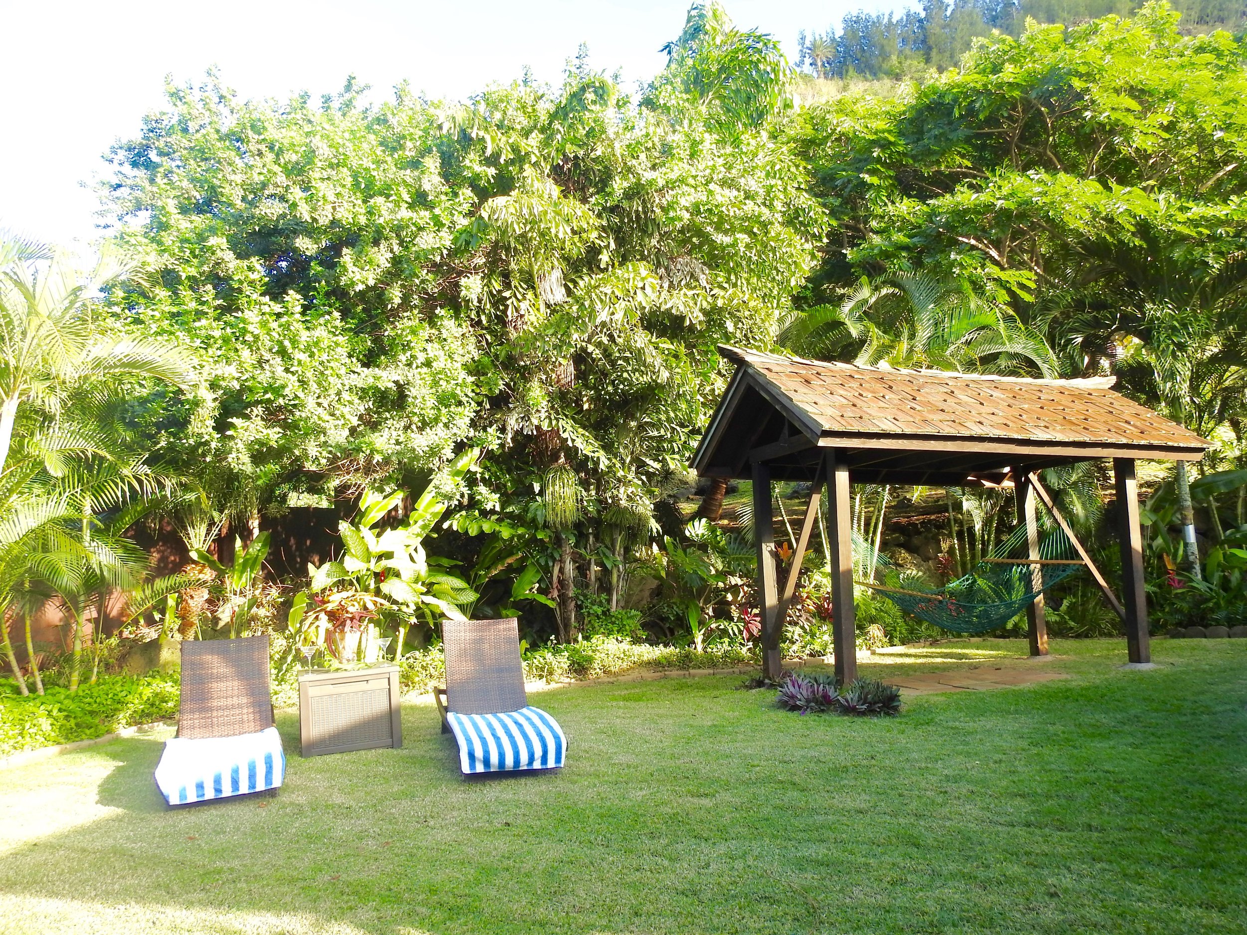 DSCN3786.jpg