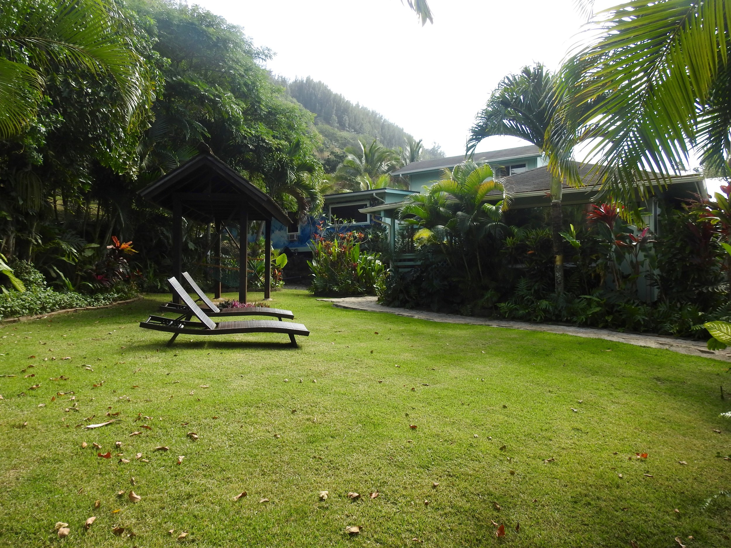 DSCN5653.jpg