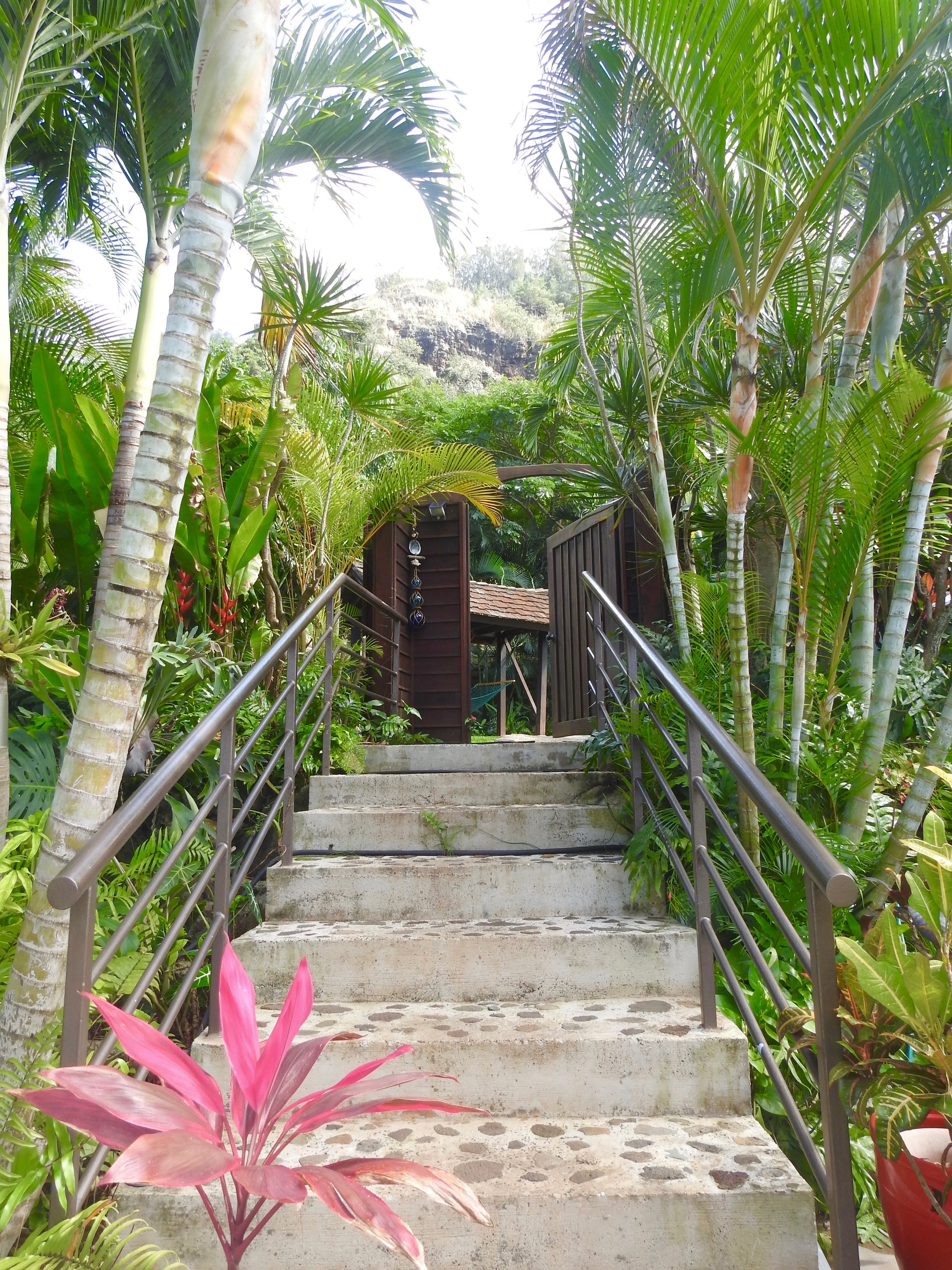 DSCN5649.jpg
