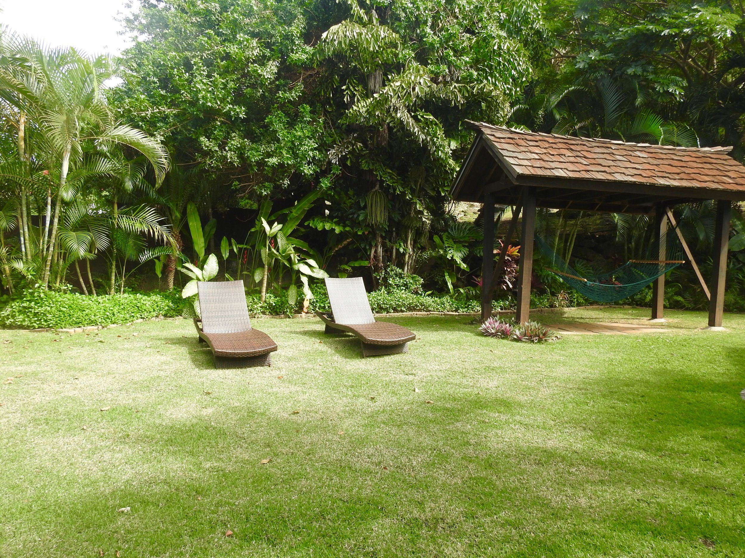 DSCN5657.jpg