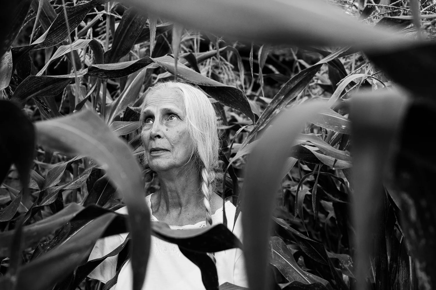 Elderly woman framed in field of corn