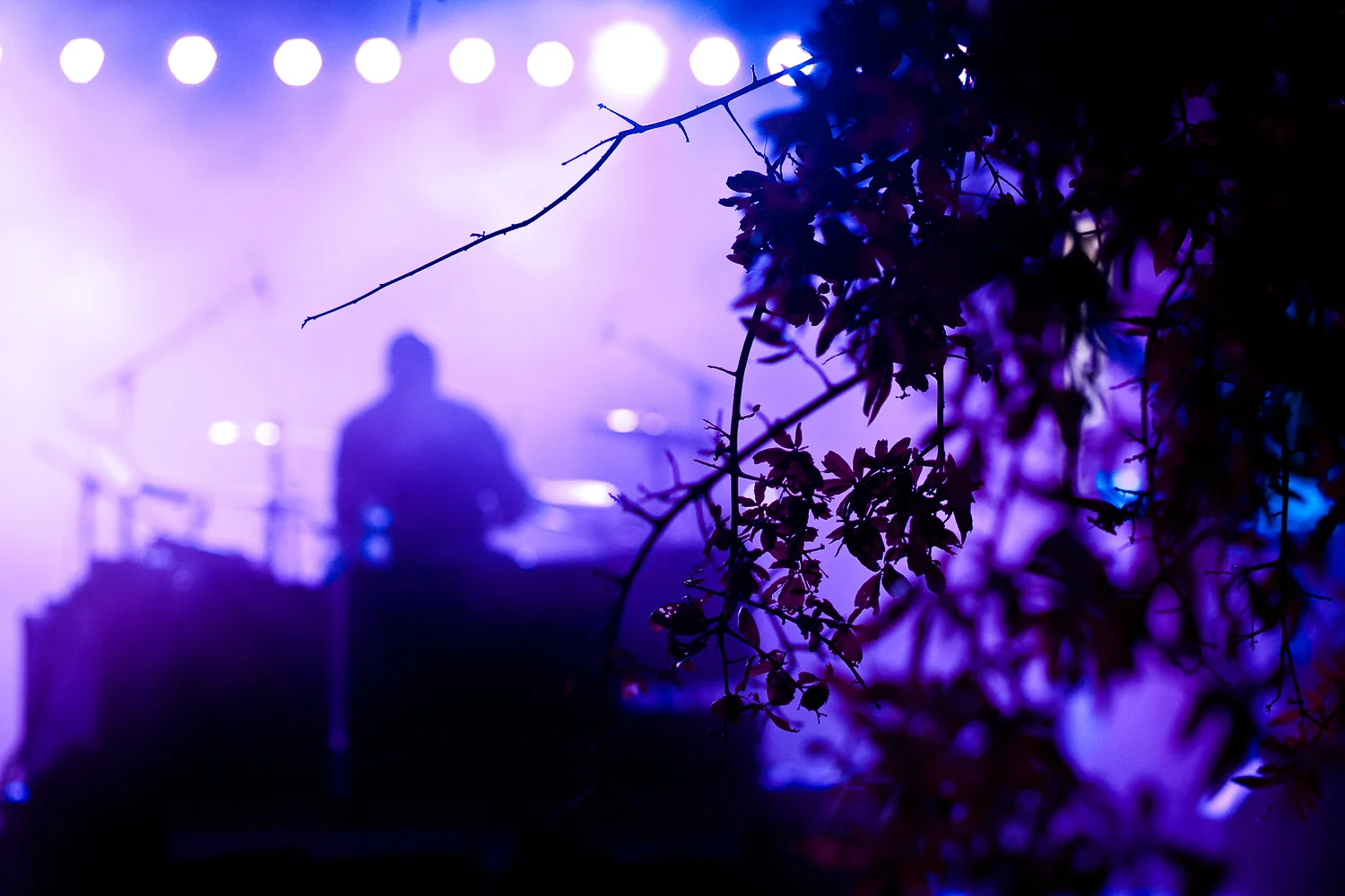 Music-44.jpg