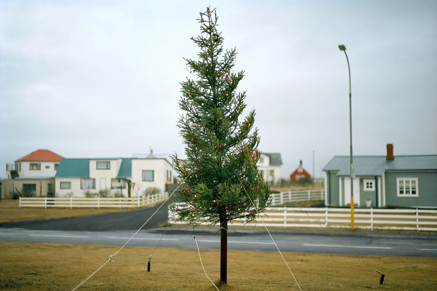 Christmas_Tree_Iceland.jpg