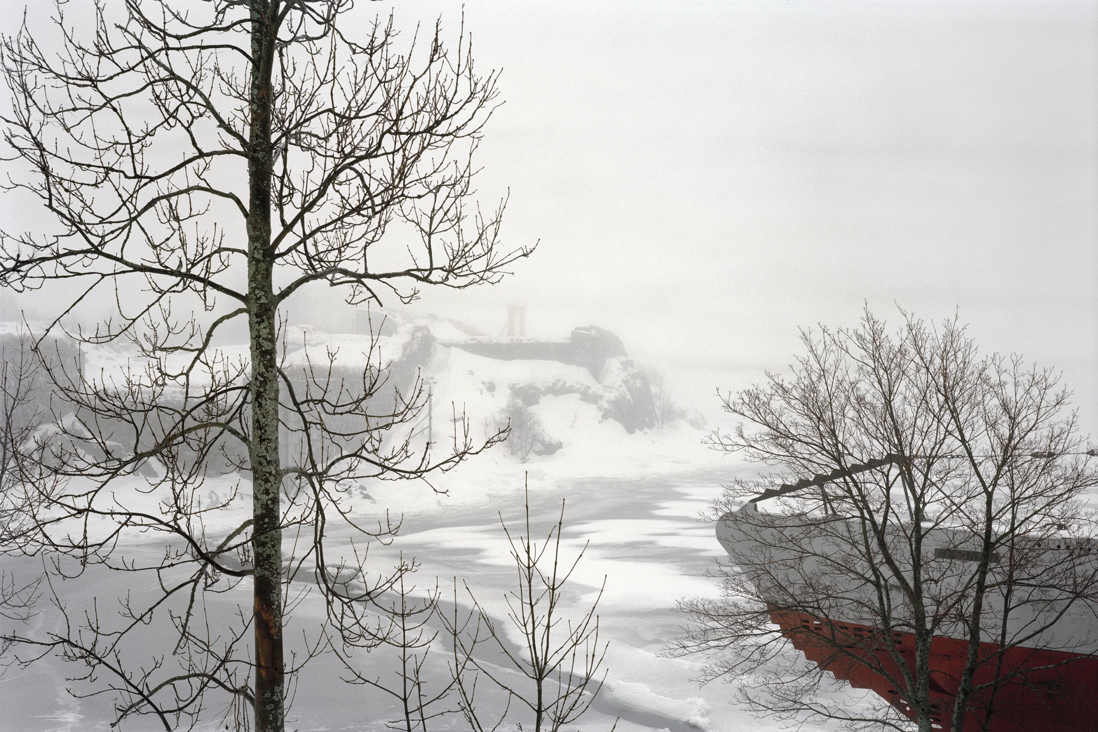 Zen Tree (Suomenlinna)