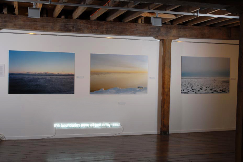 'Dis-covery' curated by Colin Langridge