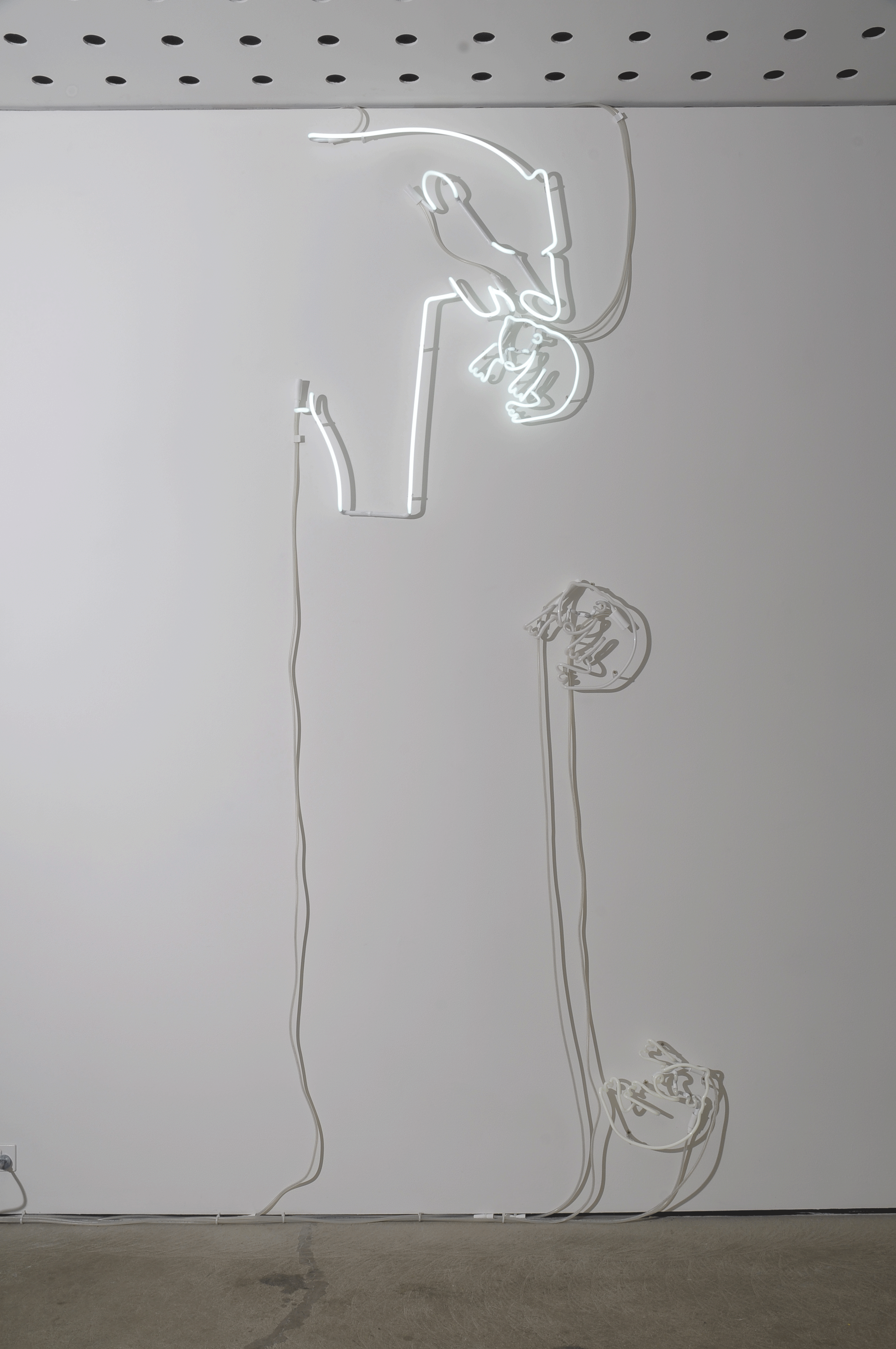 Vera drops Flocke repeatedly, 2009