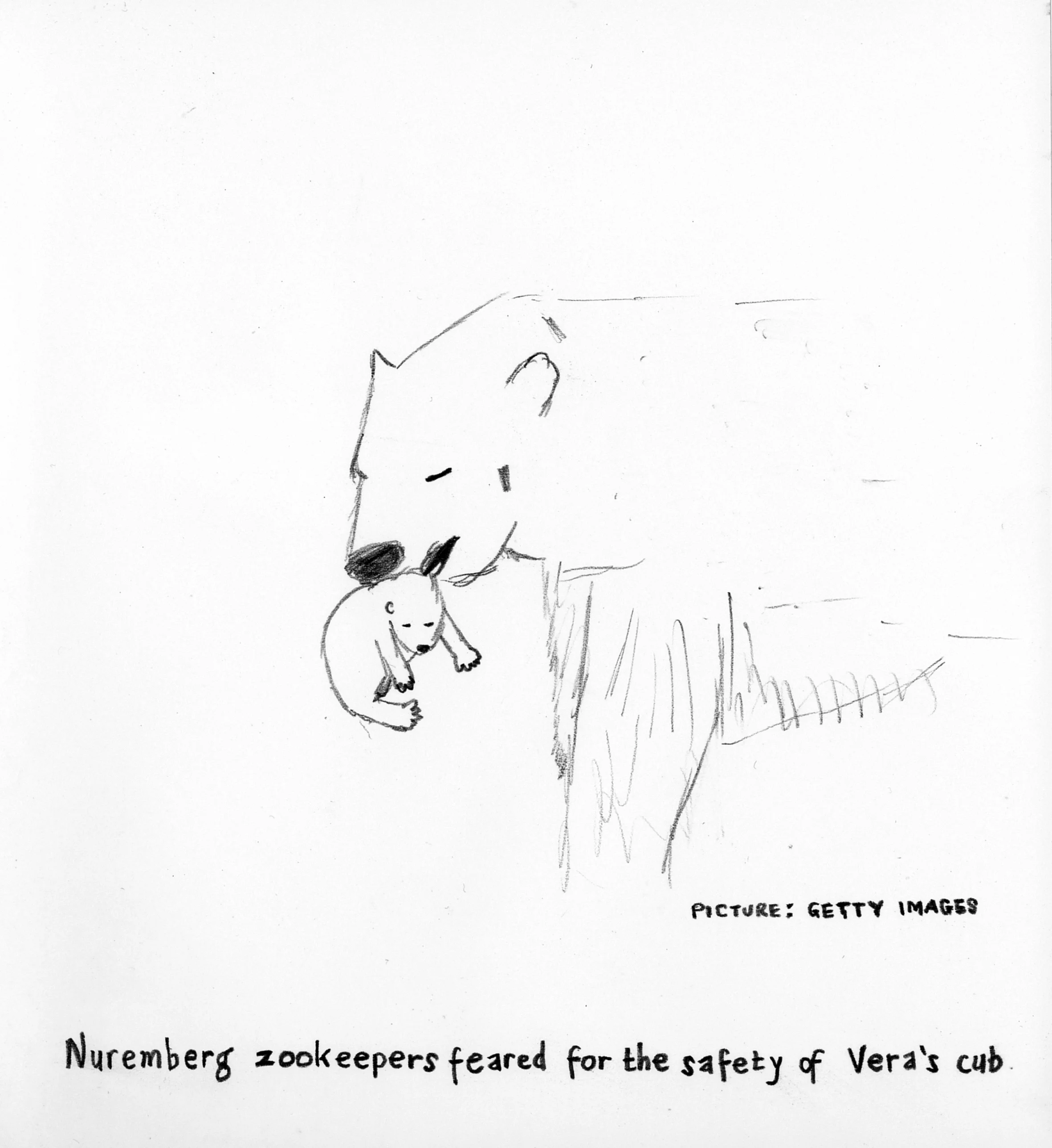 Nuremberg zookeepers feared for the safety of Vera's cub, 2009