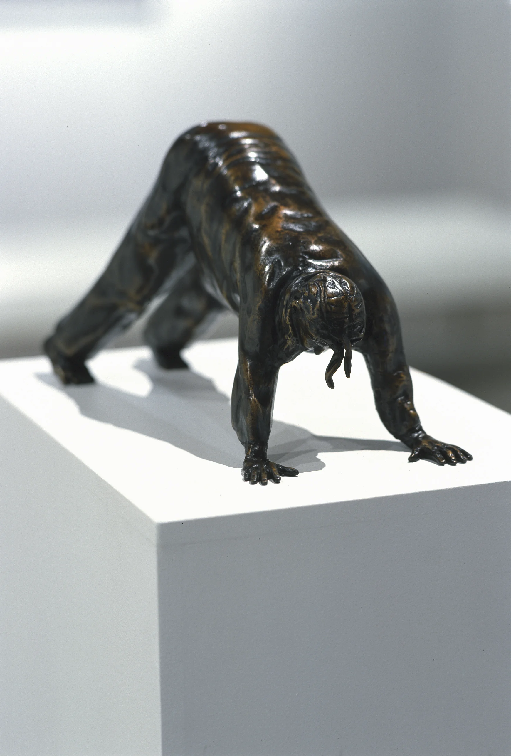 Downward Dog bronze