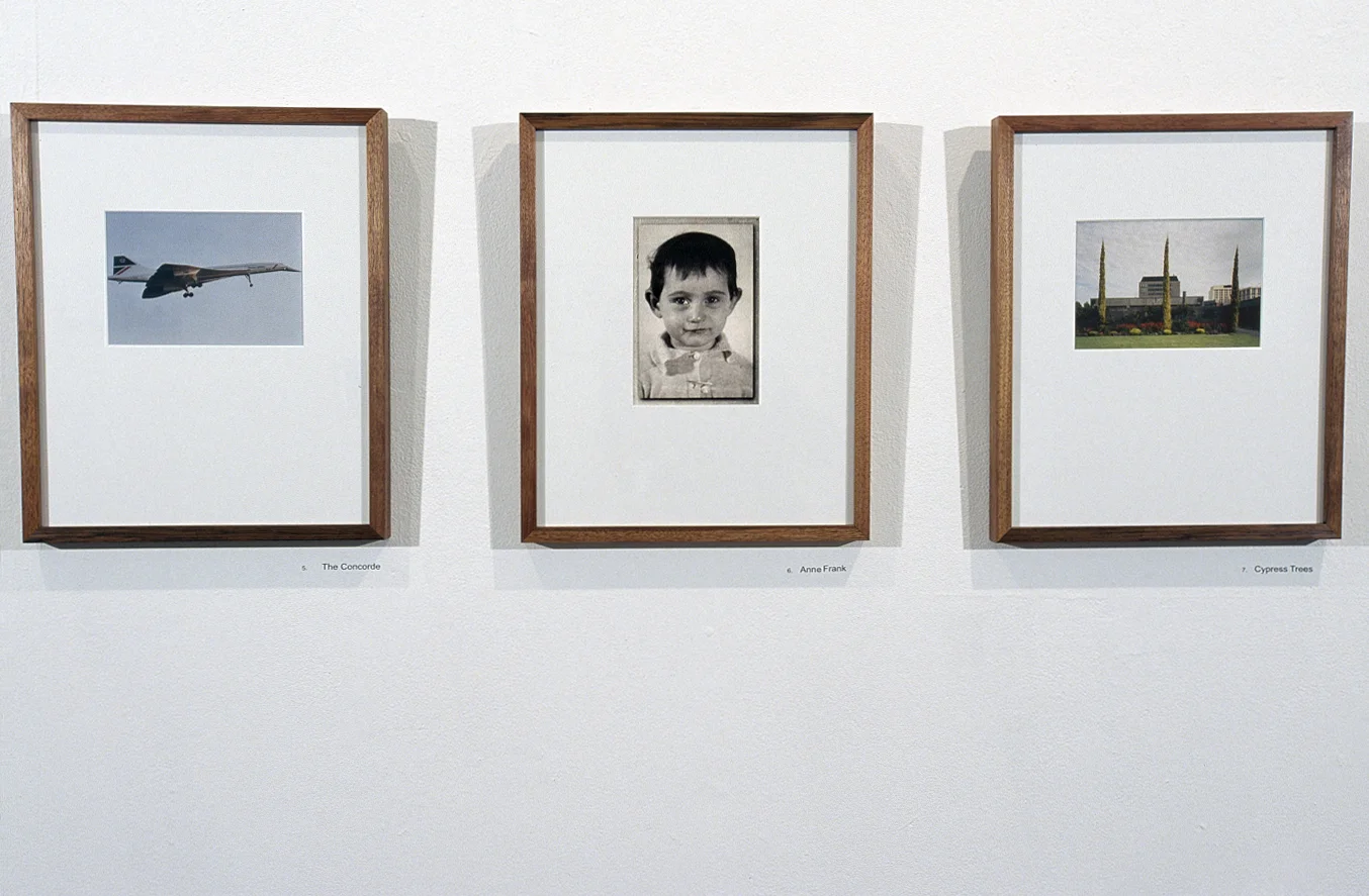 Things that look like me and that I like & Things that other people said look like me but I don't like it' chromogenic prints (framed)