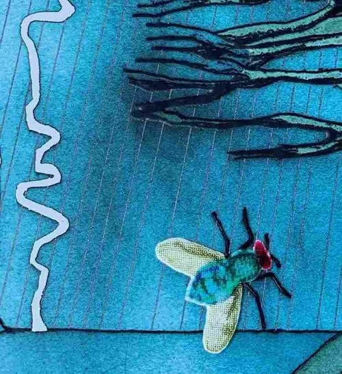 Lauren Redniss’s “Thunder and Lightning” is Science Told Right