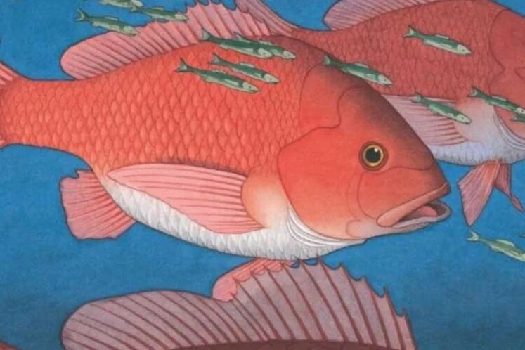Flotsam by David Wiesner