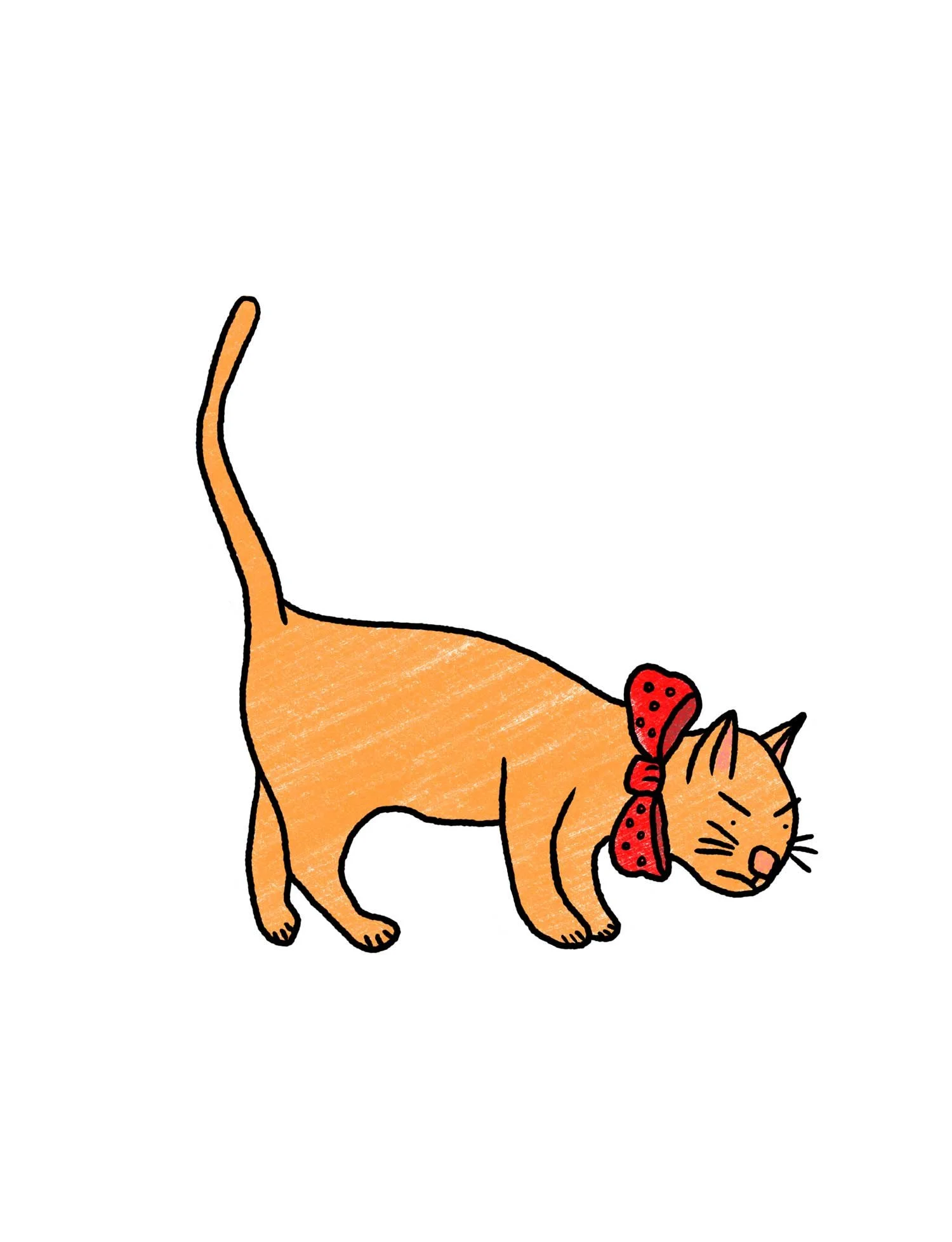 Barnstable-the-Cat Coloring Sheet