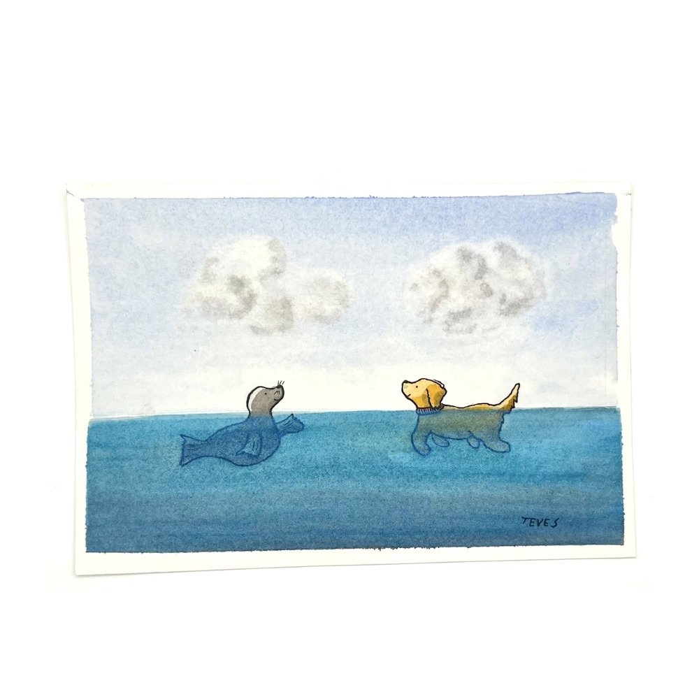 "The Encounter" - Golden Retriever Meets a Seal at Sea