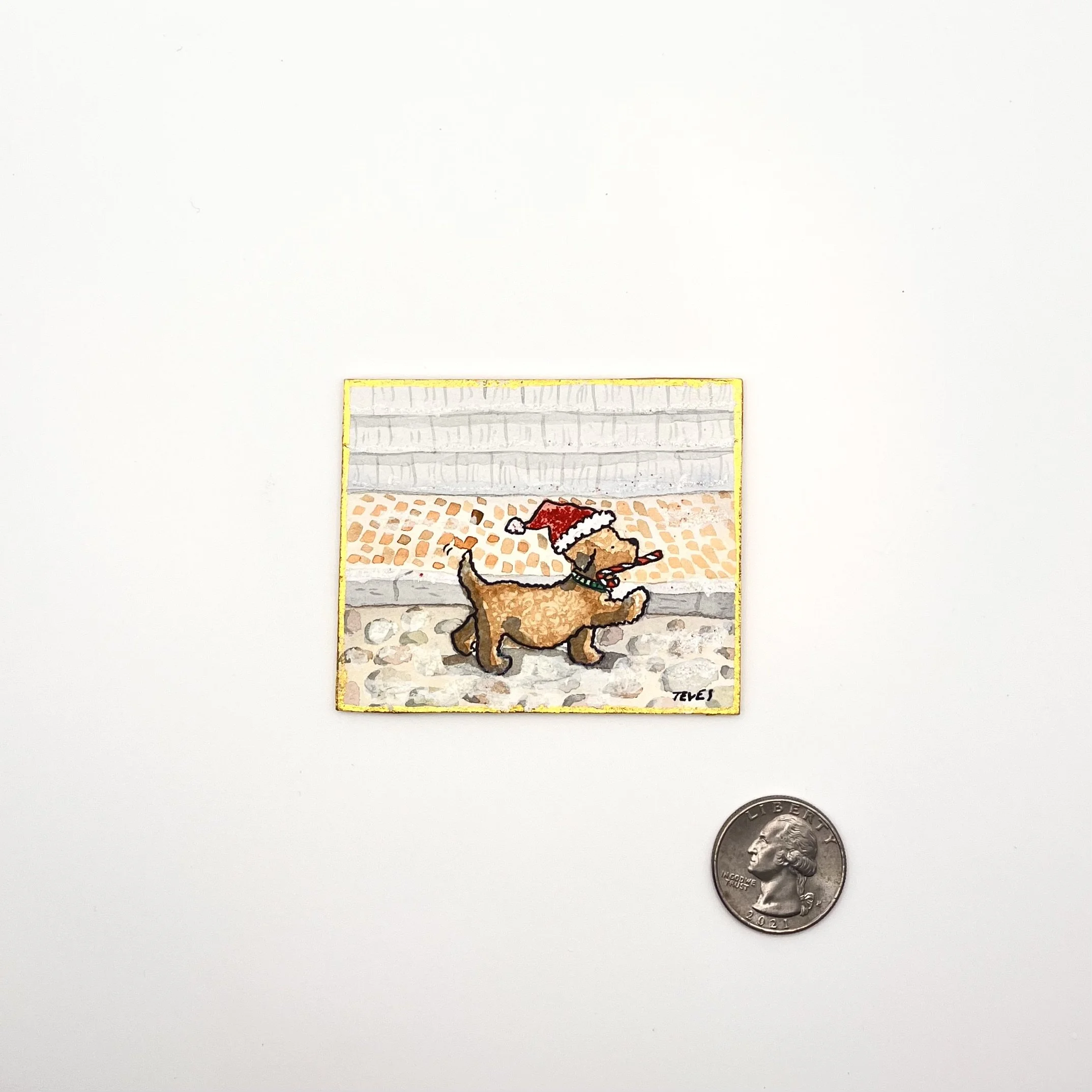 labradoodle christmas.jpeg