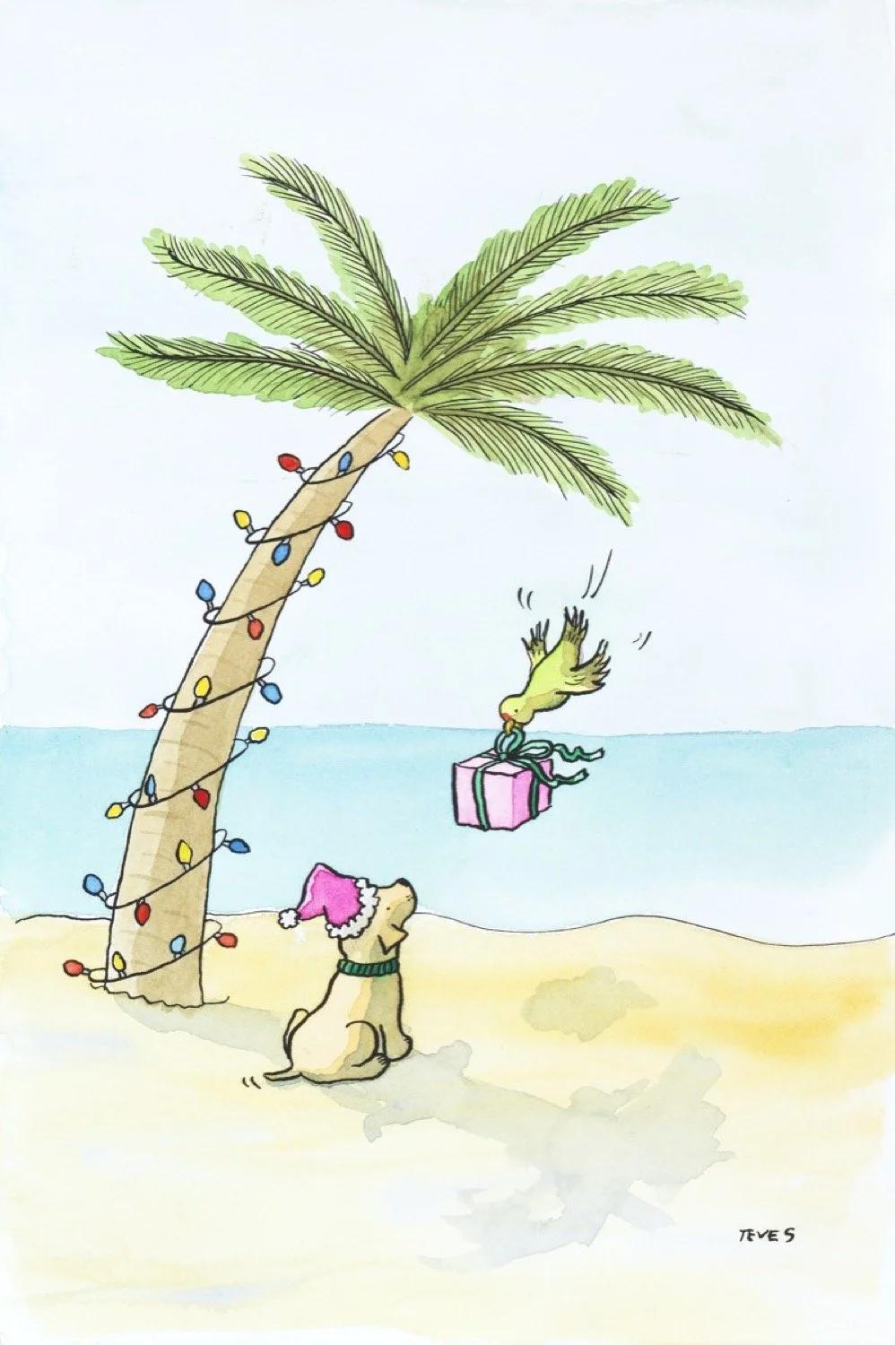 Florida dog and parrot at Christmas.jpg