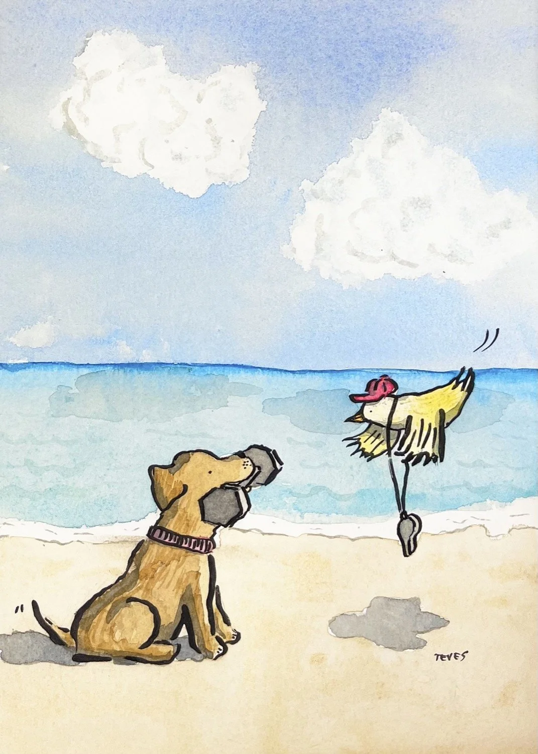 dog with dumbell at beach.jpeg