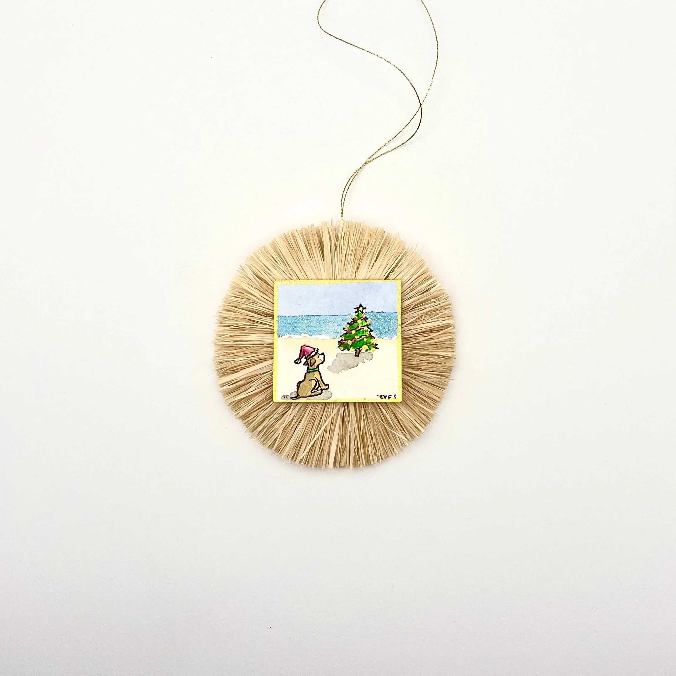 dog at beach with xmas tree.jpeg