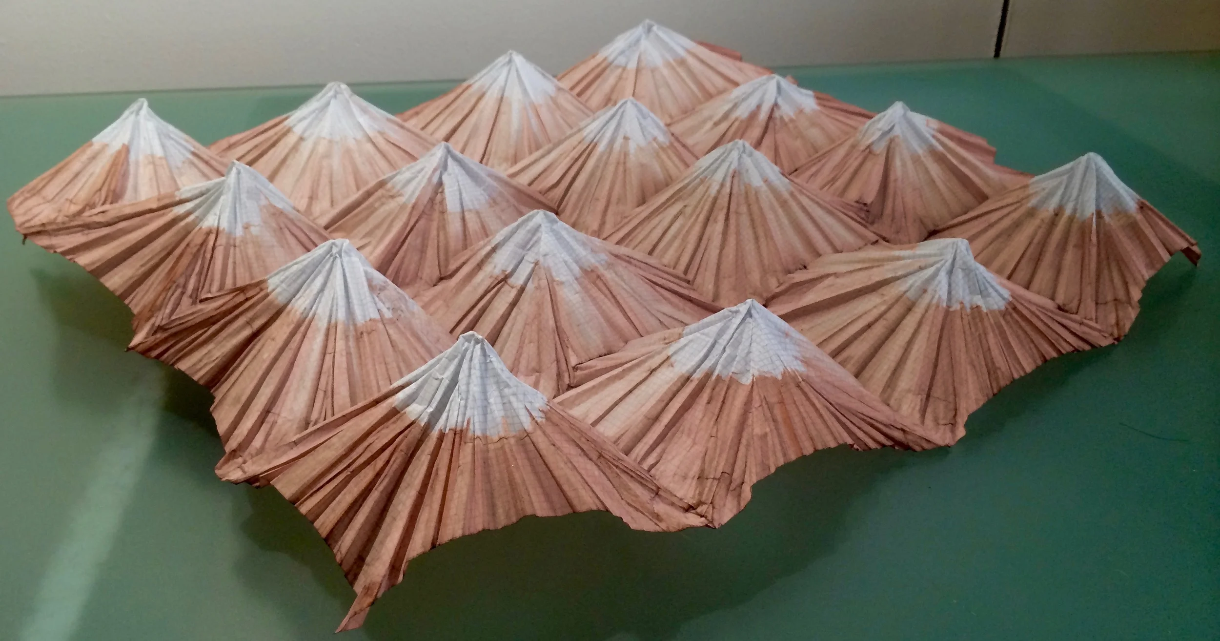 IMG_1896.jpg