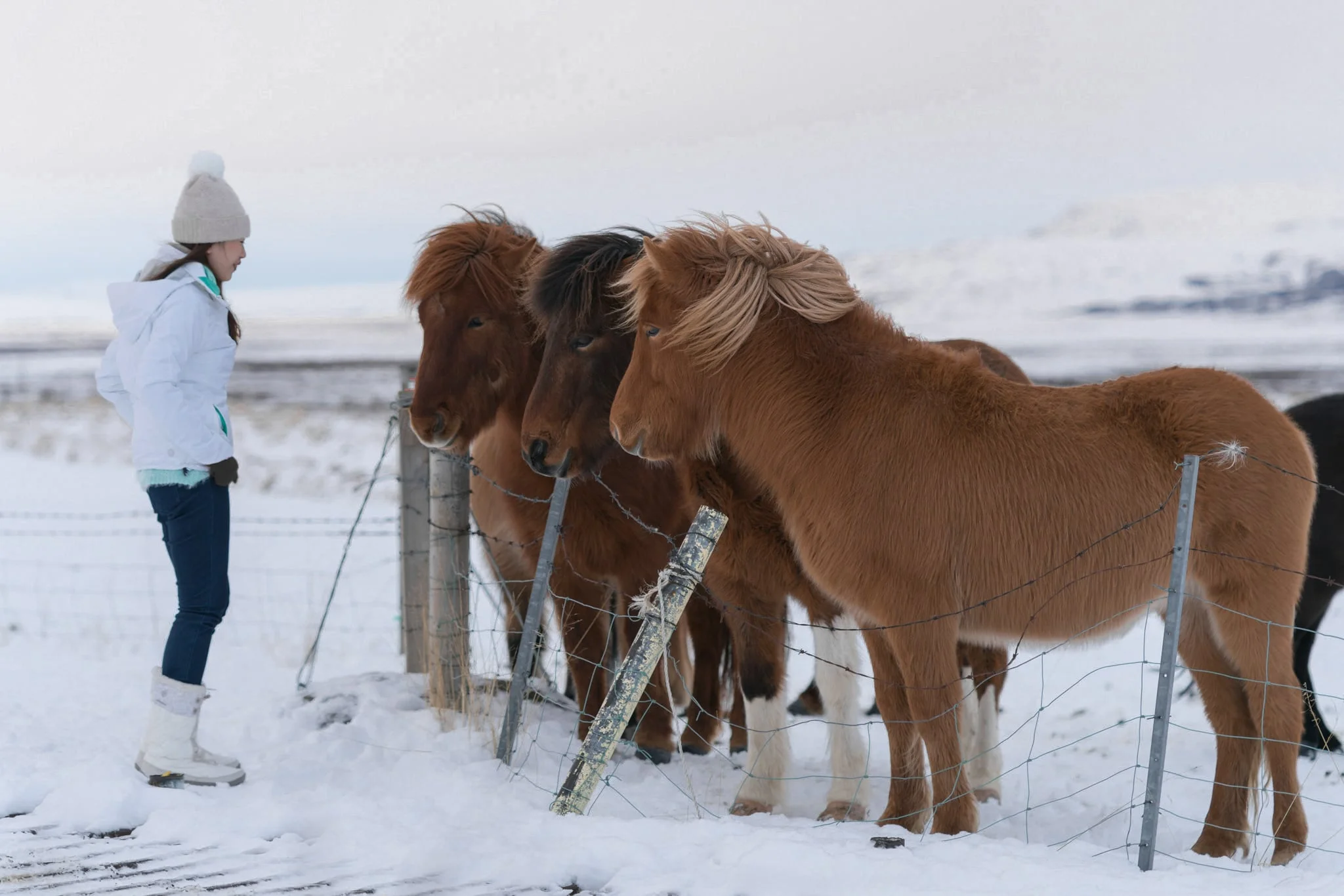 20160104-GEYSIR-049.jpg