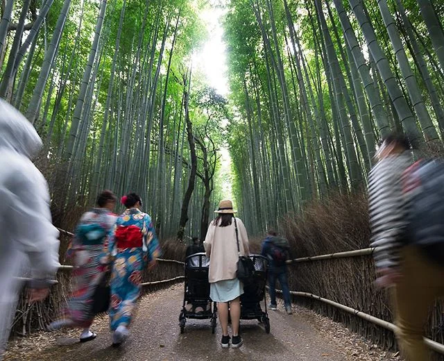 An oasis of serenity in the bamboo forest, one of many beautiful spots in #kyoto 
#Japan #ig_japan #arashiyamabambooforest #bugaboo #dieselrock