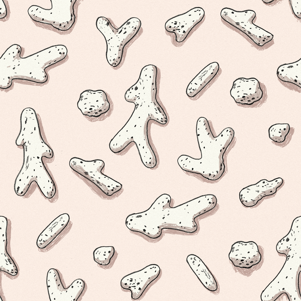 coral-pattern.png