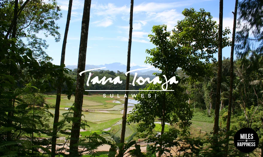 Indonesia_TanaToraja_4.jpg
