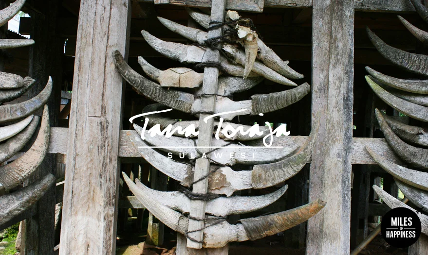 Indonesia_TanaToraja_6.jpg