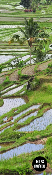 Itinerary of a trip in Indonesia