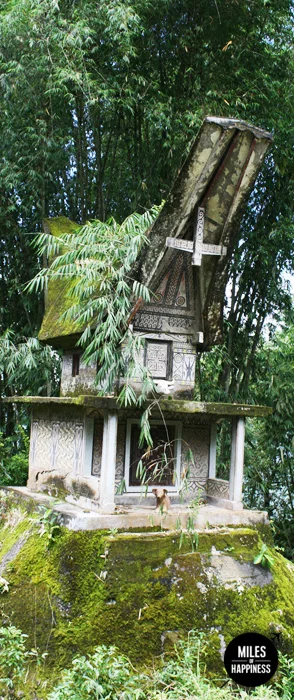 Itinerary of a trip in Indonesia