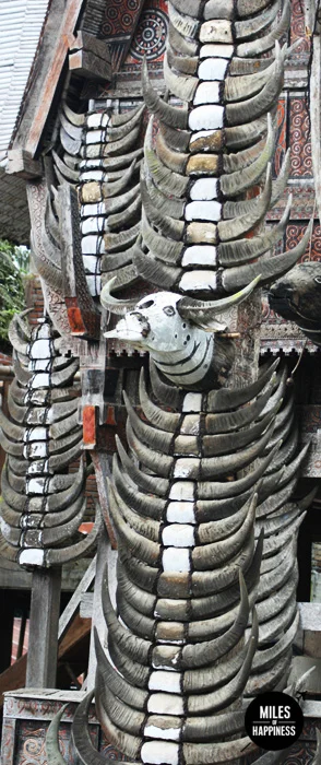 Itinerary of a trip in Indonesia