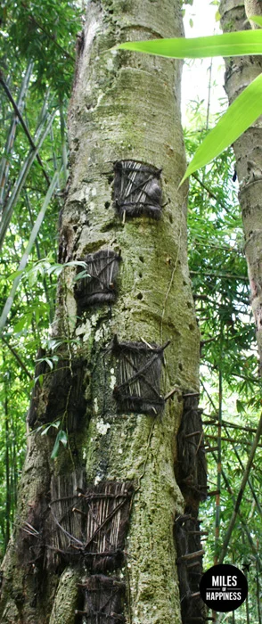 Itinerary of a trip in Indonesia