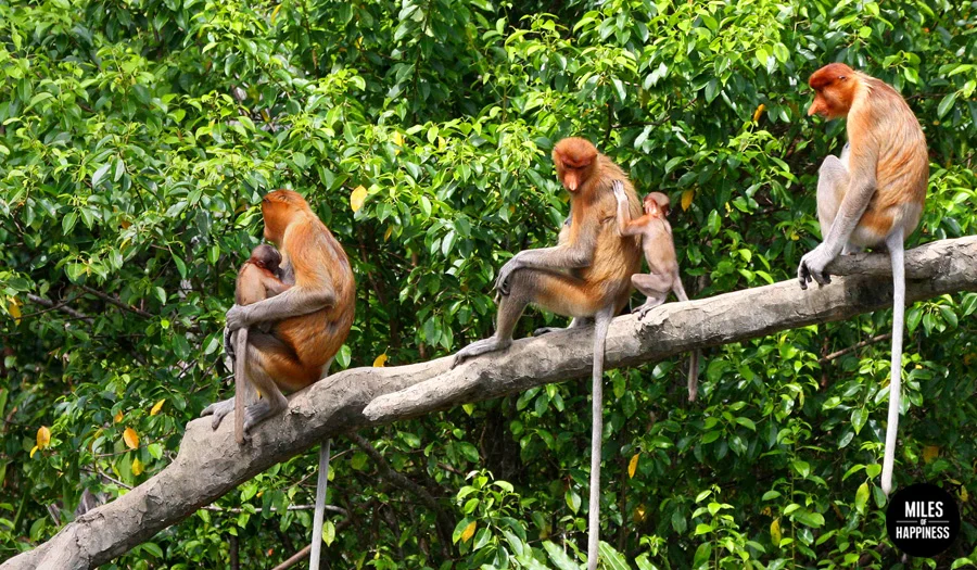 PHOTO&nbsp;©CHRIST DEARDEN