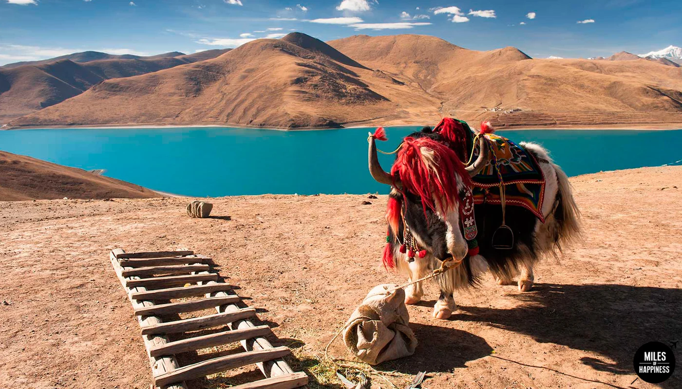 Photo&nbsp;©KEVEN OSBORNE