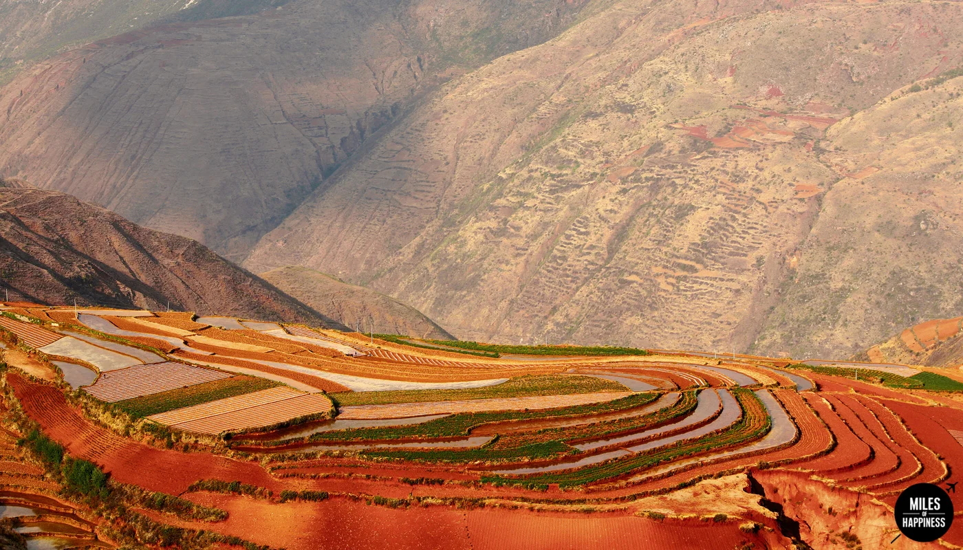 PHOTO&nbsp;©JIKANG LEE