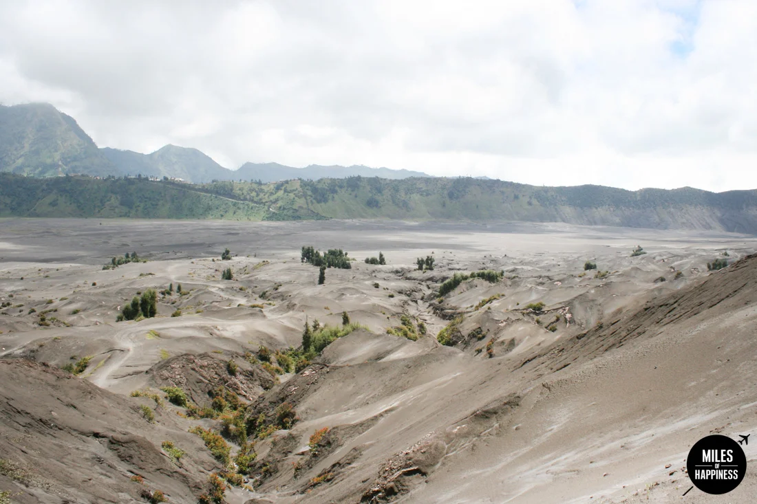 GBromo_Expedition_12.jpg