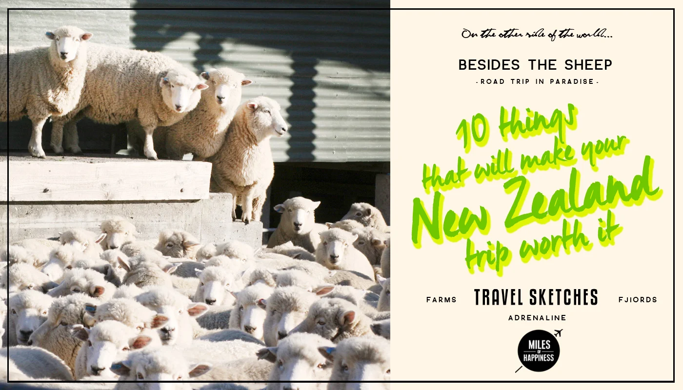 10 Things that will make your New Zealand road trip worth it