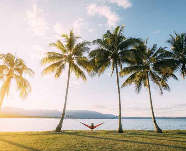 Capture d’écran 2016-01-17 à 22.04.21.png