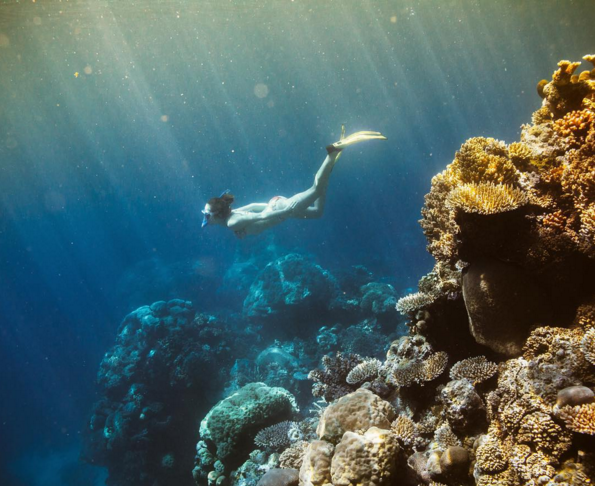 Capture d’écran 2016-01-17 à 22.04.29.png