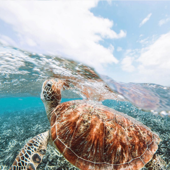 Capture d’écran 2016-01-17 à 22.09.04.png