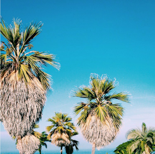 Capture d’écran 2016-01-21 à 17.16.14.png