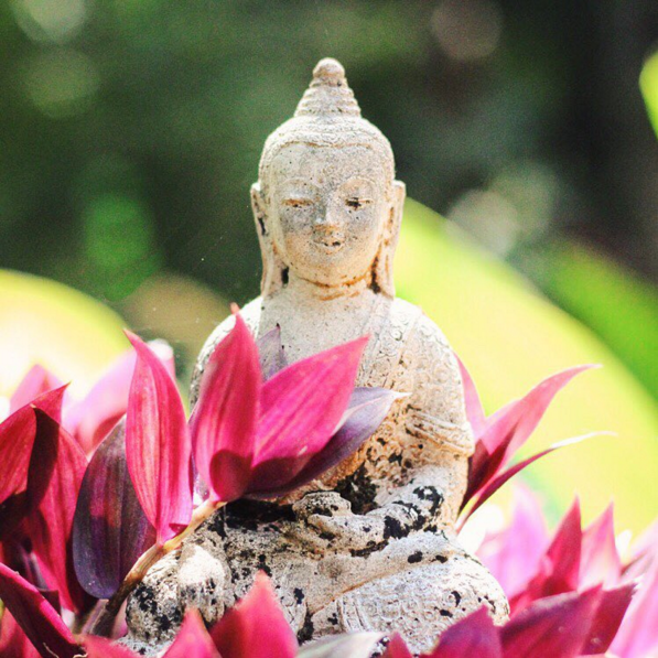 Capture d’écran 2016-01-21 à 17.15.58.png