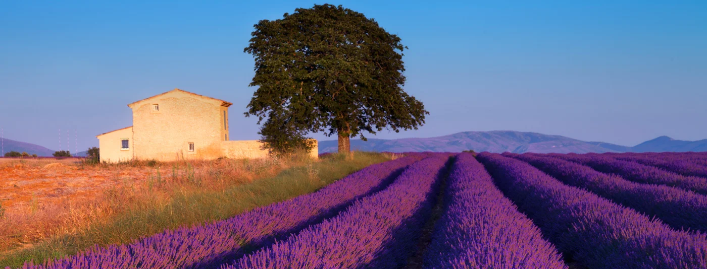 The Ultimate France Bucketlist : Provence