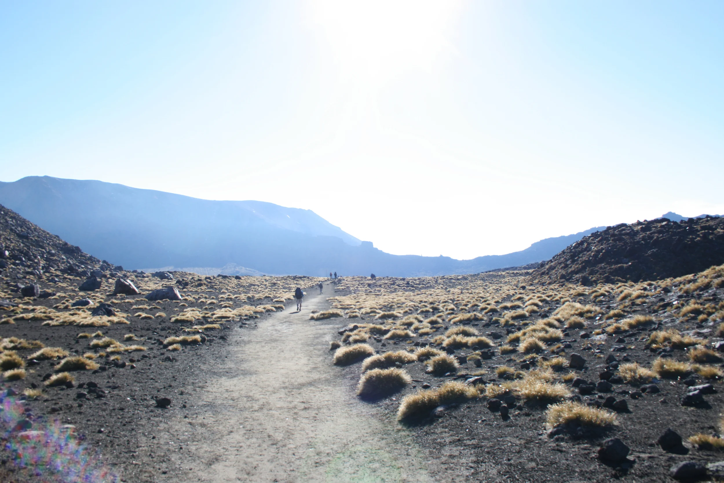 10 things that will make your New Zealand trip worth it