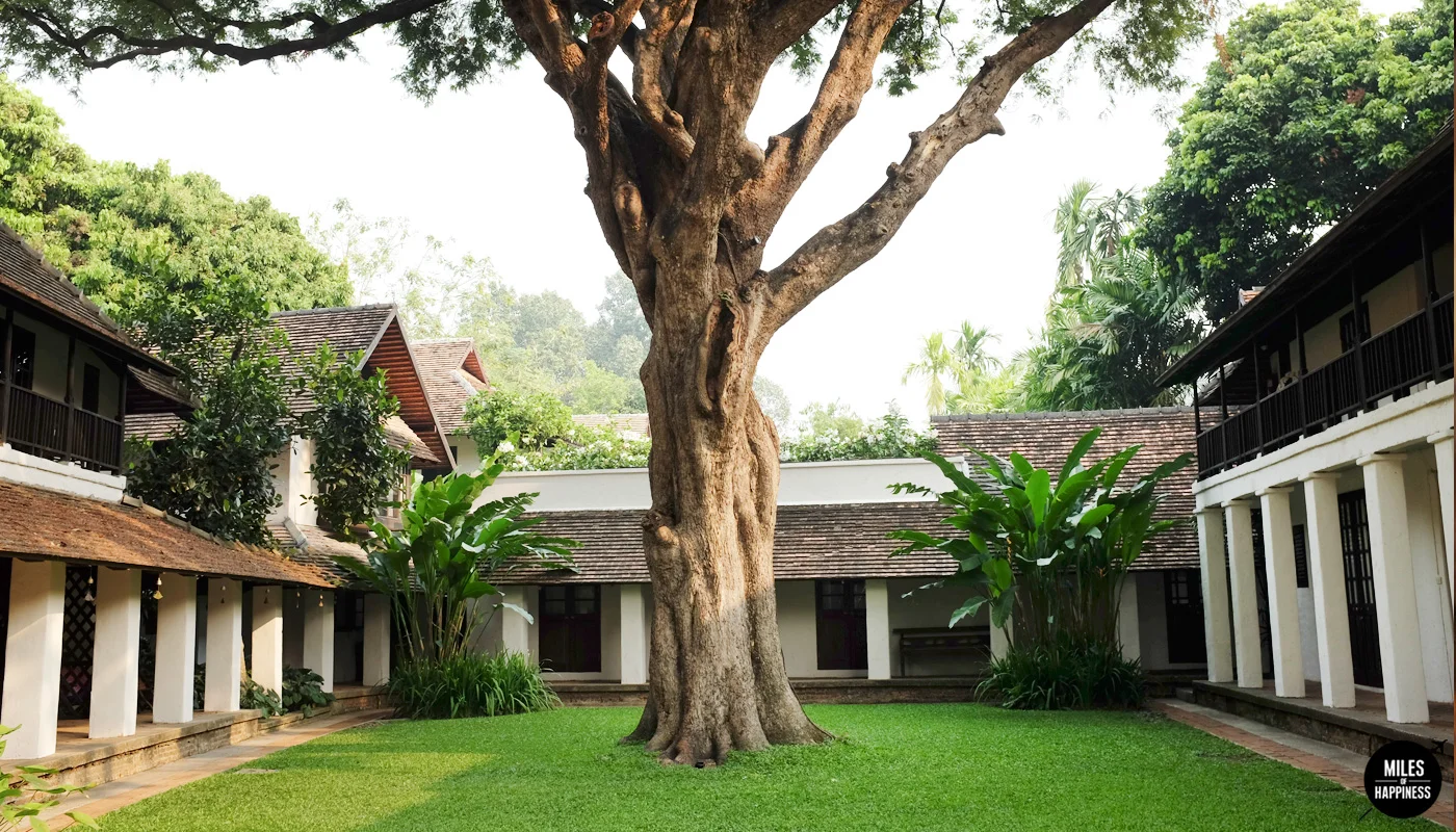 We stayed in :&nbsp;Tamarind VillageWe loved it for : The authentic atmosphere,&nbsp;the scrumptious food, the 'home feel', the squirrel climbing up the Tamarind tree and the friendly staffYou might like this post :&nbsp;Quick Guide to Chiang Mai in…