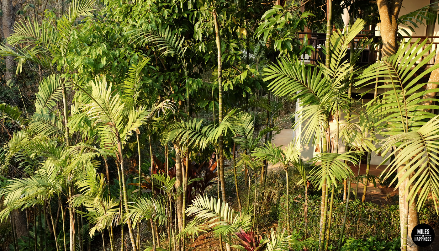 Thailand-GirlsGetaway_MaeRim6.jpg